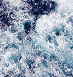 Oceans Issues & Threats