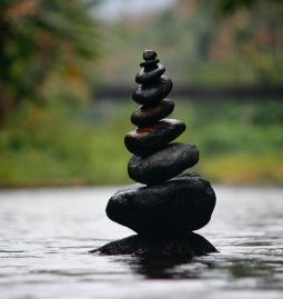 Mental Health Resources: What You Need To Know