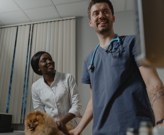 Veterinarians: Protecting The Health Of Animals And People