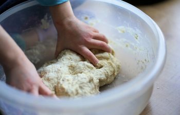 3 Best Substitutes for Yeast