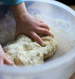 3 Best Substitutes for Yeast